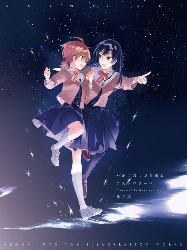 Astrolabe - Nakatani Nio mandorama 02