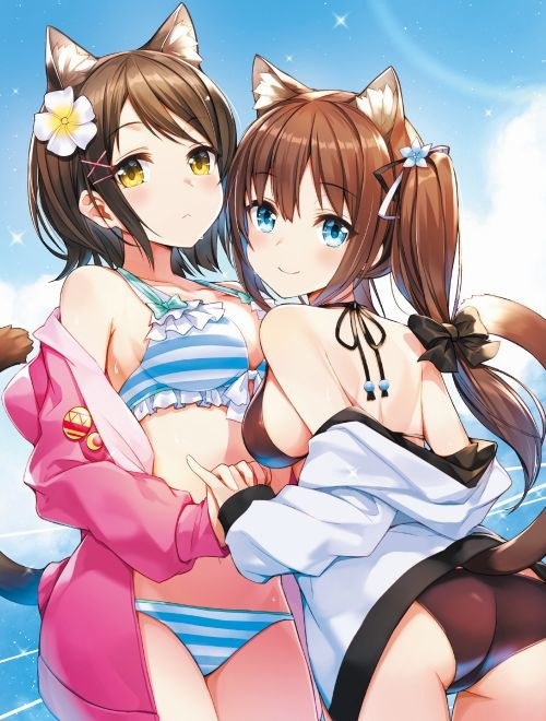 Comic Market 45th Anniversary Book mandorama 03