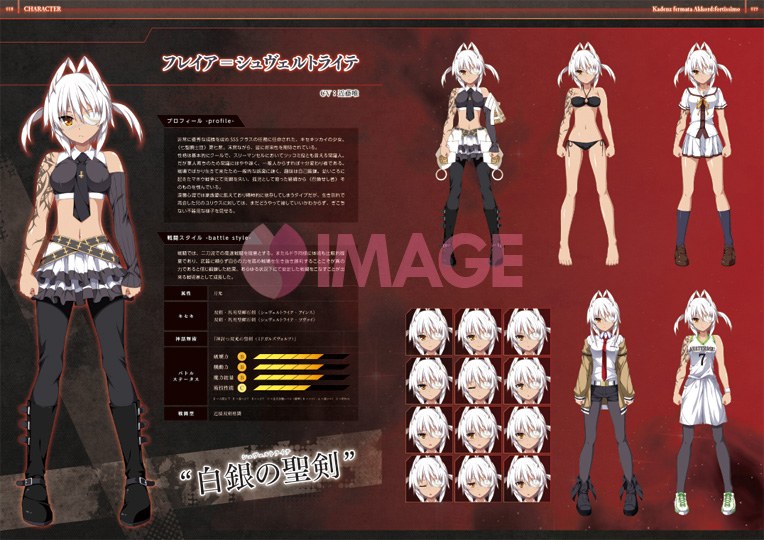 Kadenz fermataAkkordfortissimo - Art Book (Hifumi Shobou) mandorama 04