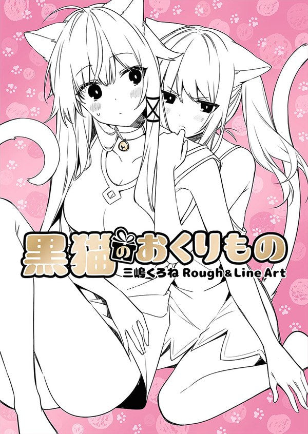 Kuroneko no Okurimono - Mishima Kurone mandorama 02