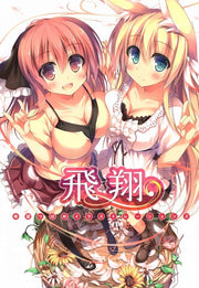 Nozomi Tsubame Illustrations Hishou mandorama 01