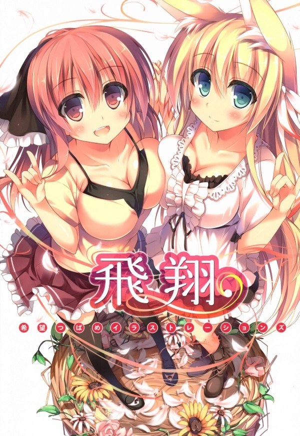 Nozomi Tsubame Illustrations Hishou mandorama 02