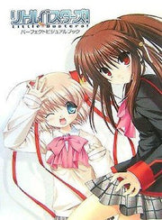 Perfect Visual Book mandorama 01