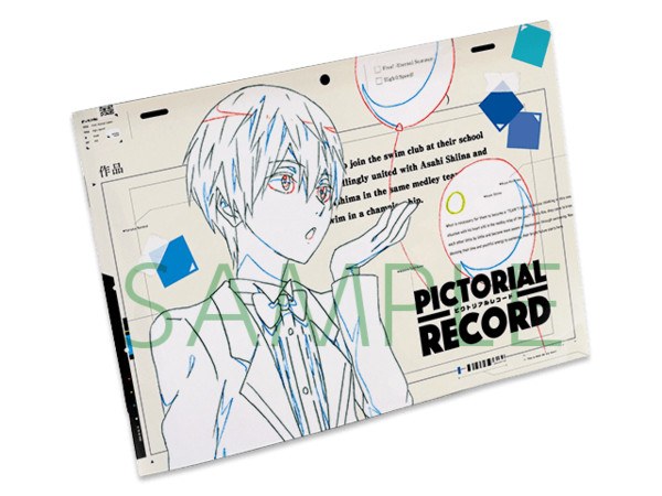 Pictorial Record mandorama 01