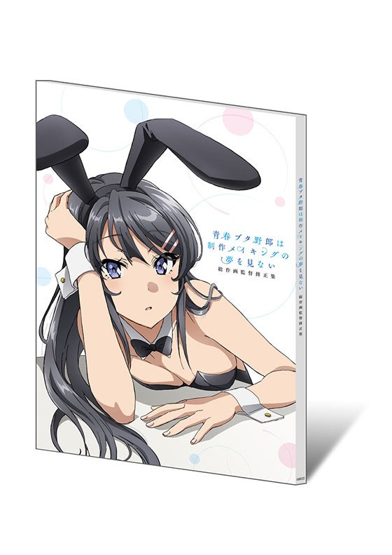 Seishun Buta Yarou wa Seisaku Making no Yume wo Minai mandorama 03