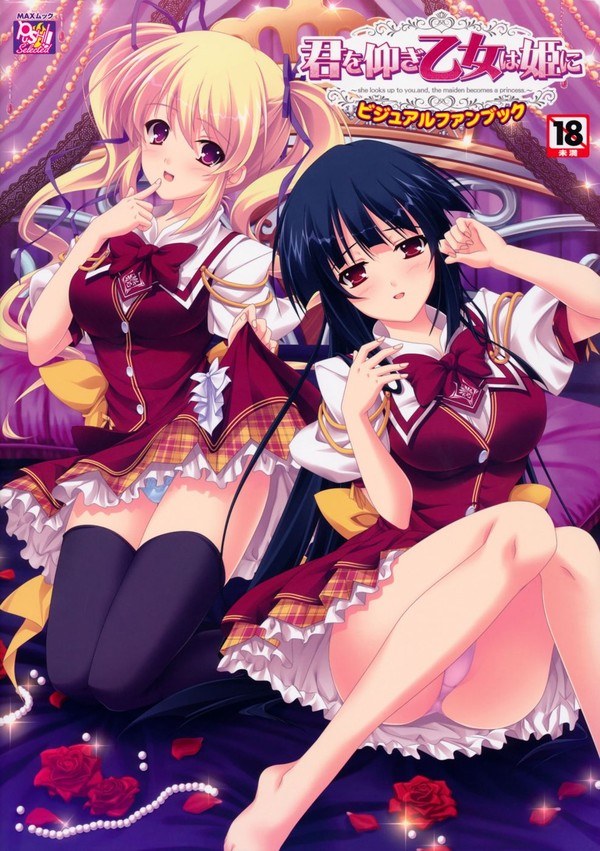 Visual Fan Book mandorama 02