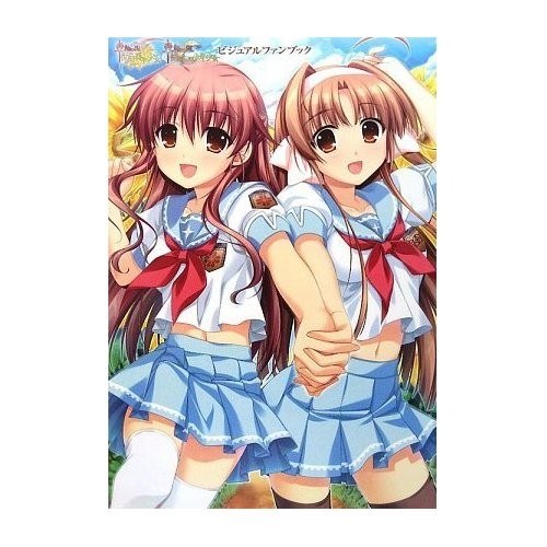 Visual Fan Book mandorama 02