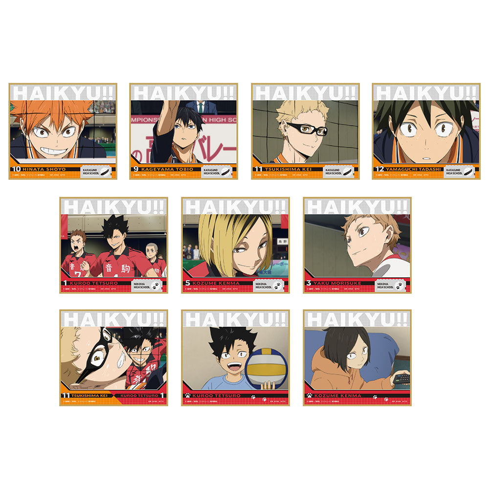 Ichiban Kuji Haikyu!! The Movie: Battle of the Garbage Dump 2 Prize F Colored Paper - Mandorama