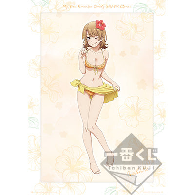 Ichiban Kuji My Teen Romantic Comedy SNAFU Climax Prize G Iroha Isshiki Framed Illustration Board - Mandorama